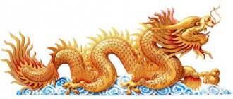 Год дракона китайский гороскоп
