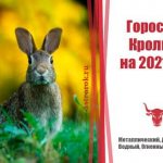 Гороскоп Кролика на 2021 год для женщин и мужчин