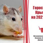 Гороскоп Крысы 2021