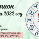 гороскоп на 2022 Скорпион женщина и мужчина
