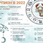 инфографика скорпион 2022
