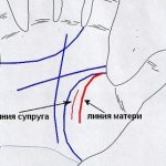 линии влияния на руке