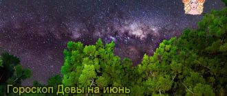 ночное небо, звезды и дерево