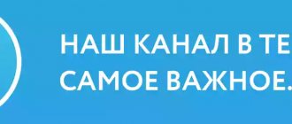 Telegram-канал Багира Гуру